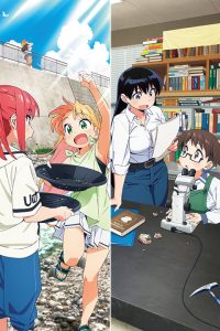 Introduction to Mineralogy